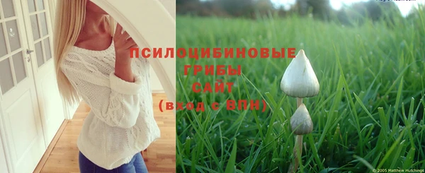 круглые Белокуриха