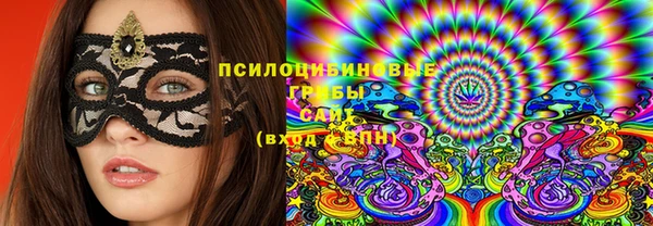 круглые Белокуриха