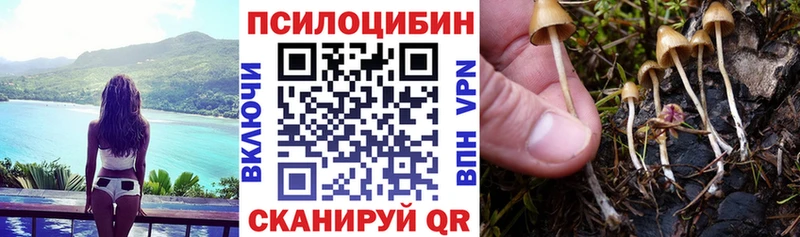 кракен сайт продажа наркотиков Кимры Псилоцибиновые грибы Cubensis